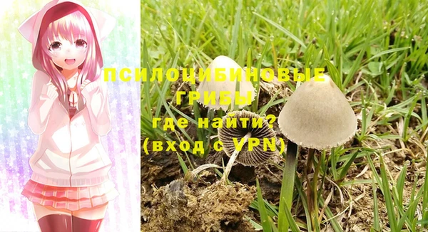 гашиш Абаза