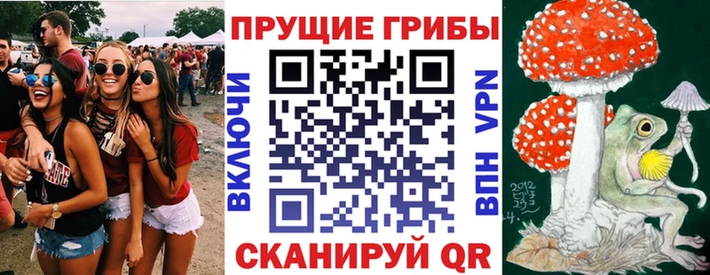 где купить наркоту  Таганрог  Галлюциногенные грибы Psilocybe 